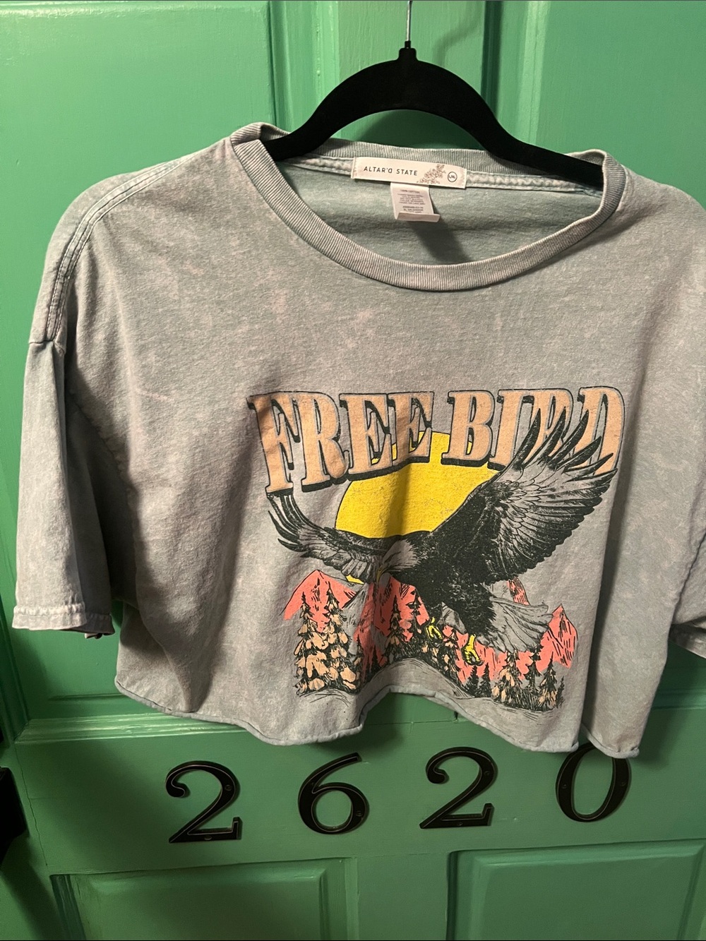Altar'd State Gray/green marbled Crop Tee with Sun & Coral Mountain Print L/XL
